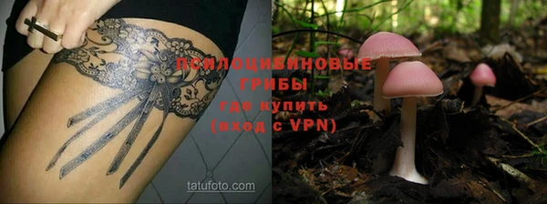 трава Новоузенск