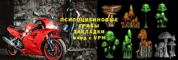 твердый Ростов