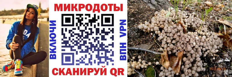 Псилоцибиновые грибы Magic Shrooms  купить наркотики сайты  Шилка 